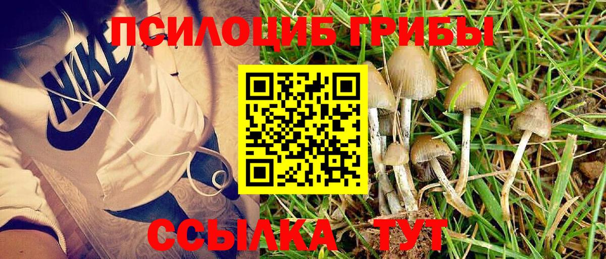 Псилоцибиновые грибы Magic Shrooms  Вход с VPN  Котлас 