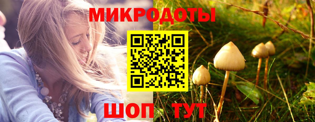 Псилоцибиновые грибы мухоморы Котлас